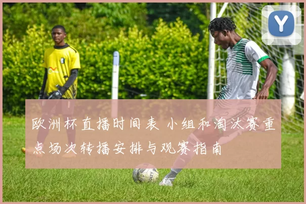 欧洲杯直播时间表 小组和淘汰赛重点场次转播安排与观赛指南