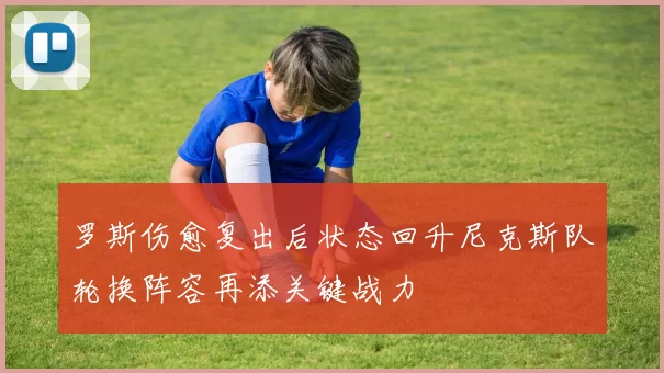 罗斯伤愈复出后状态回升尼克斯队轮换阵容再添关键战力