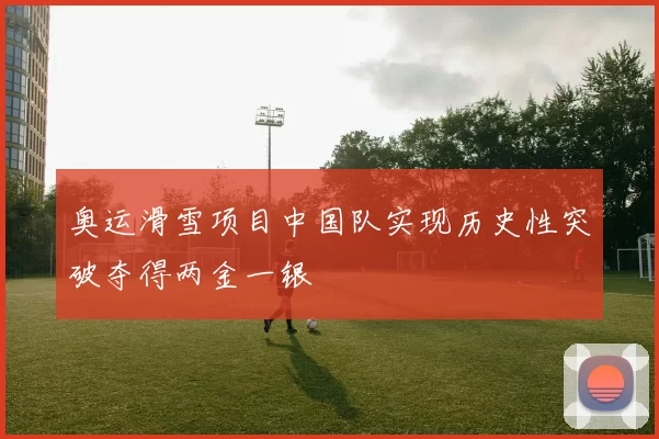 奥运滑雪项目中国队实现历史性突破夺得两金一银