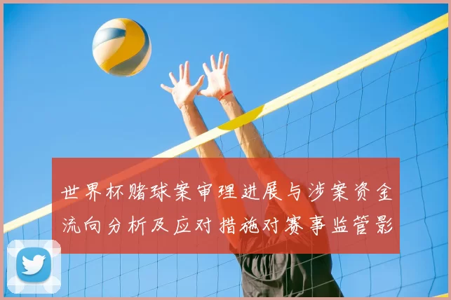 世界杯赌球案审理进展与涉案资金流向分析及应对措施对赛事监管影响