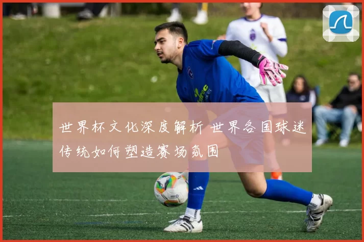世界杯文化深度解析 世界各国球迷传统如何塑造赛场氛围