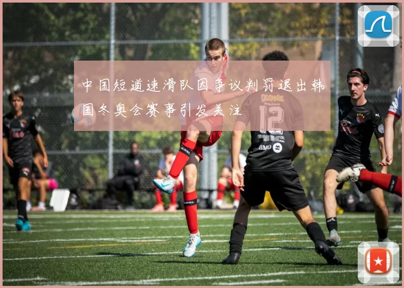 中国短道速滑队因争议判罚退出韩国冬奥会赛事引发关注