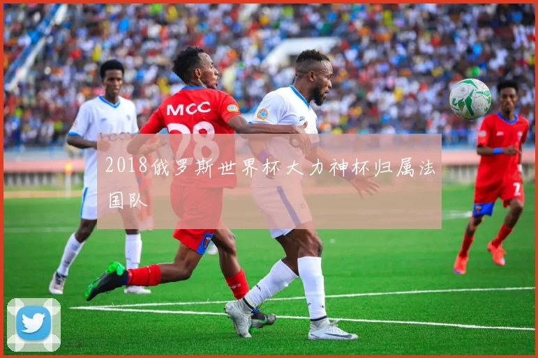 2018俄罗斯世界杯大力神杯归属法国队